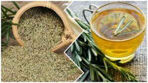 biberiye-cayinin-faydalari-saracoglu