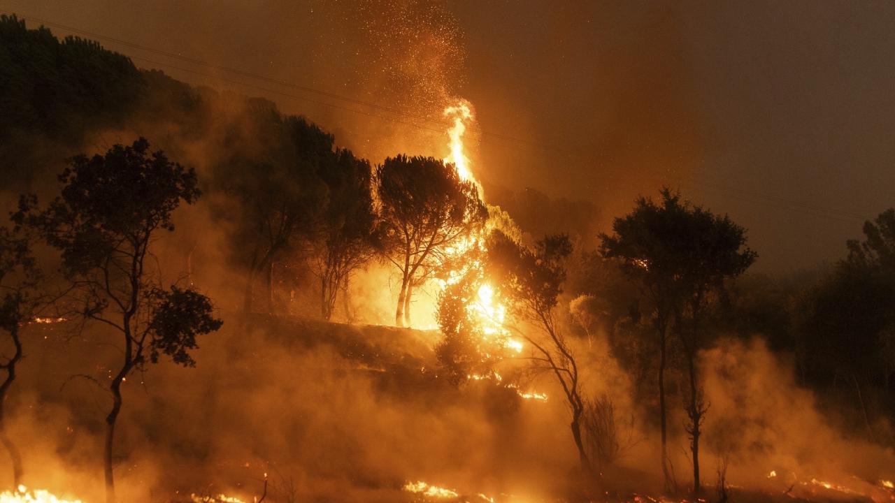 greece-wildfires-ap-2098286.jpg