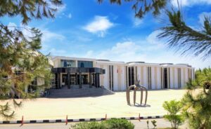 YDÜ, Büyük Kütüphane (1)