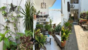 WhatsApp Image 2024-09-23 at 09.00.11