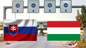 WhatsApp Image 2024-12-19 at 08.05.28