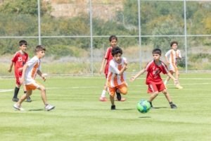 a7f8a355-c062-4687-8498-d2bc2e0dbe4b