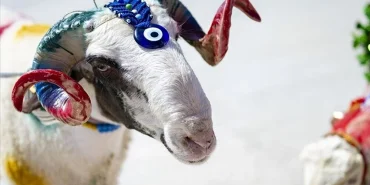 BA3_xESEo0GxTjDmJ6UW8Q