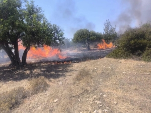 524351058_1214919390650244_6791384876275762463_n