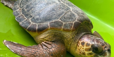 WhatsApp Image 2025-07-25 at 15.43.45 (2)