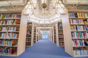 YDÜ Büyük Kütüphane (2)