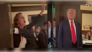 1cfa641d-370c-47fd-8470-a3a47e1a049a