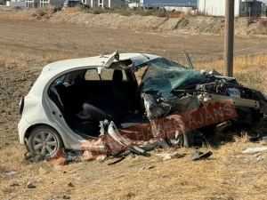 42b26e11-1213-4bd4-a604-f33d78ac371d