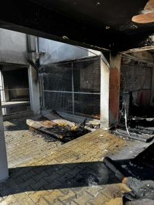 2860dbd1-00d8-4bbf-9f34-df8eb962be81