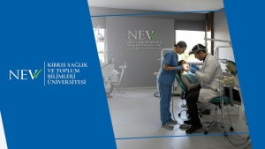 4d995032-bb6a-44bf-9a40-a62c4d70dda5