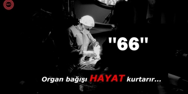 176233392582766 ARSIV