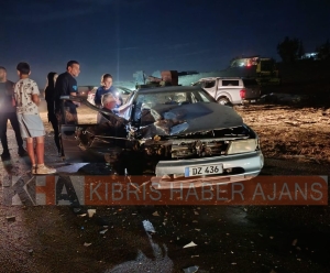 WhatsApp Image 2025-11-01 at 21.33.49