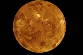 venus-1581183.jpg