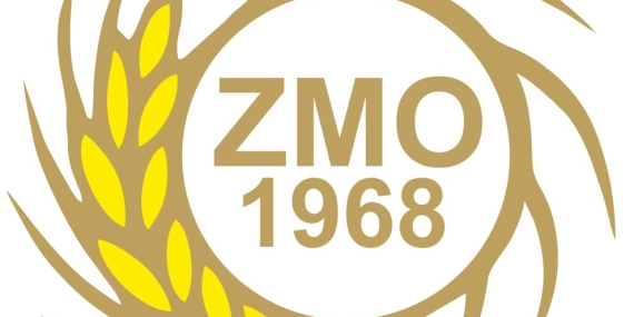 1764924677972zmo-logo