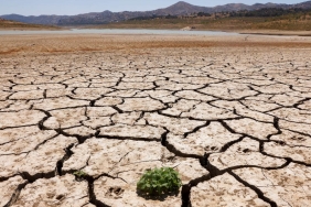 kuraklik-kuresel-isinma-iklim-degisikligi-spain-reu-1954221.jpg