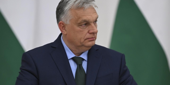 orban-aa-2252356.jpg