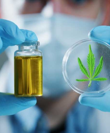 thc-remains-body-scaled