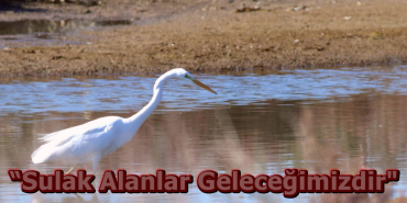 1769949044673Ekran görüntüsü 2026-02-01 153036