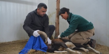 625210492_1410465827757556_5032410656295211076_n