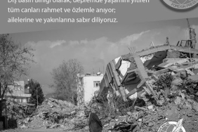 629295350_919810737473512_2899693391184928171_n