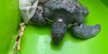 ab4e6988-2ba8-4e69-b8c9-b945f20f569a