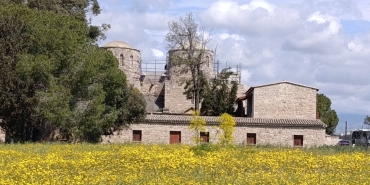 1775588087741barnabas