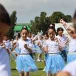 8c653f58-64b6-485c-8b2b-74b42fcaea1c