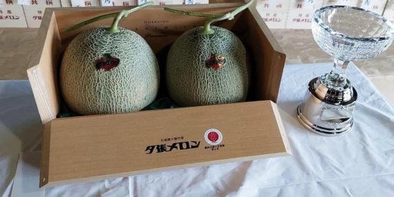 japan-melon-ih-1845553.jpg