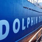 dolphin-denizcilik