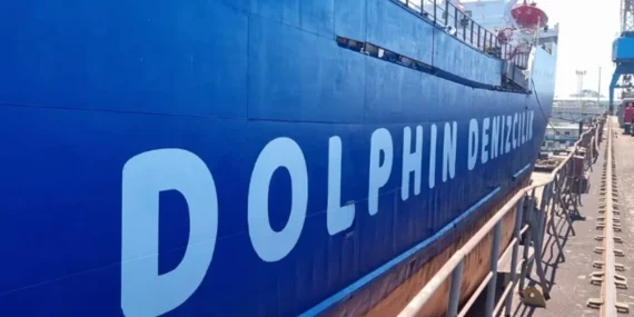 dolphin-denizcilik