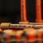 ebola-virus-aa-2463950.jpg