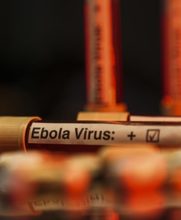 ebola-virus-aa-2463950.jpg