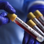 ebola-virus-aa-2463951.jpg
