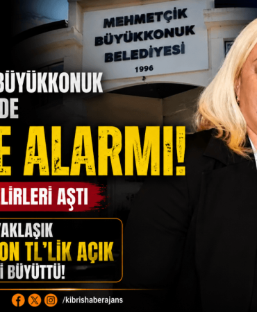 mehmetçik (1)