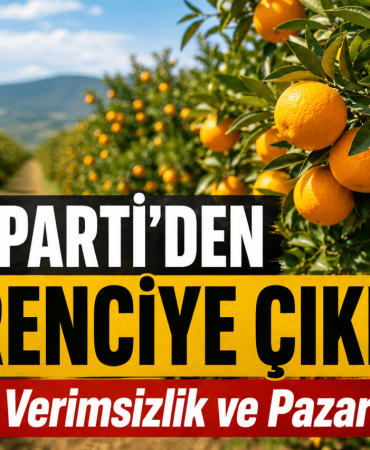 a1e90c59-f7e6-4011-b093-6c8027fca7b0 (1)