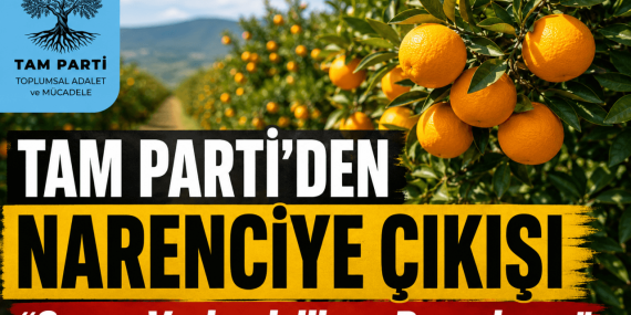 a1e90c59-f7e6-4011-b093-6c8027fca7b0 (1)