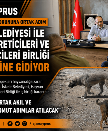 d0bdb208-1f1f-43c4-acd0-36c71c74c9b4 (1)