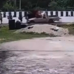 thailand-sm-2473450.jpg