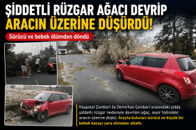 haspolat-firtina-agac-devrildi-trafik-ajanscyprus