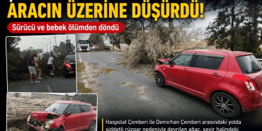 haspolat-firtina-agac-devrildi-trafik-ajanscyprus