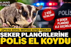 ŞEKER-PLANOR-AJANSCYPRUS (1)