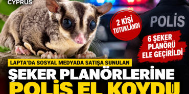 ŞEKER-PLANOR-AJANSCYPRUS (1)