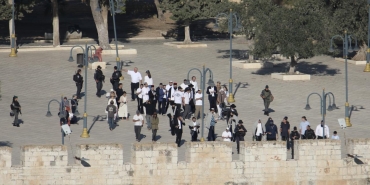 aqsa-a-2491329.jpg