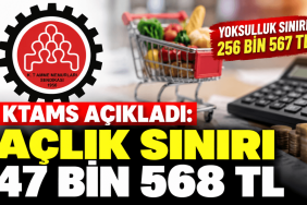 c0c8043a-c4b4-4408-8c49-a4769c8f955d (1)