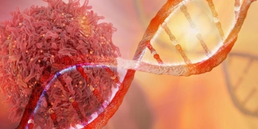 dna-2413646.jpg