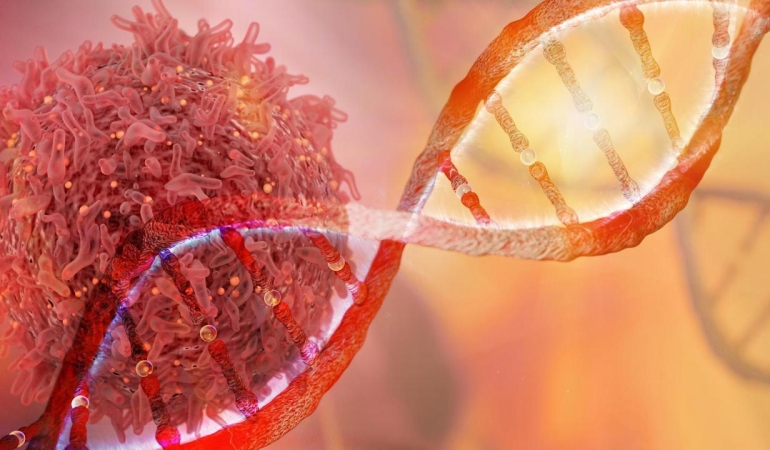 dna-2413646.jpg