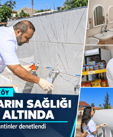 gonyeli-alaykoy-
