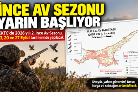 ince-av-ajanscyprus