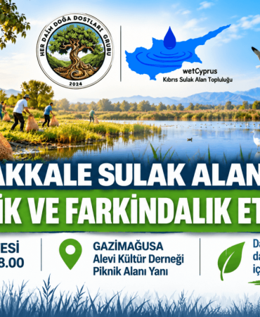Çanakkale Sulak Alan Temizlik Etkinliği (1)
