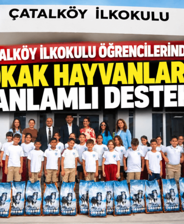 Çatalköy İlkokulundan Sokak Hayvanlarına Destek (1)